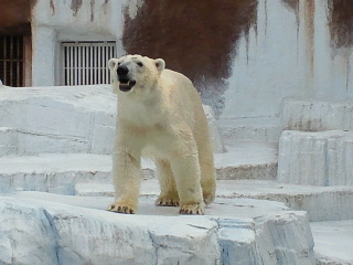 a0151913_14114052.jpg
