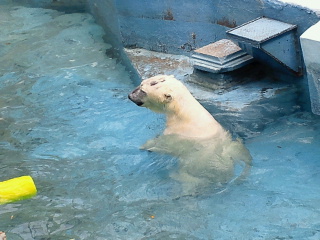 a0151913_14114056.jpg