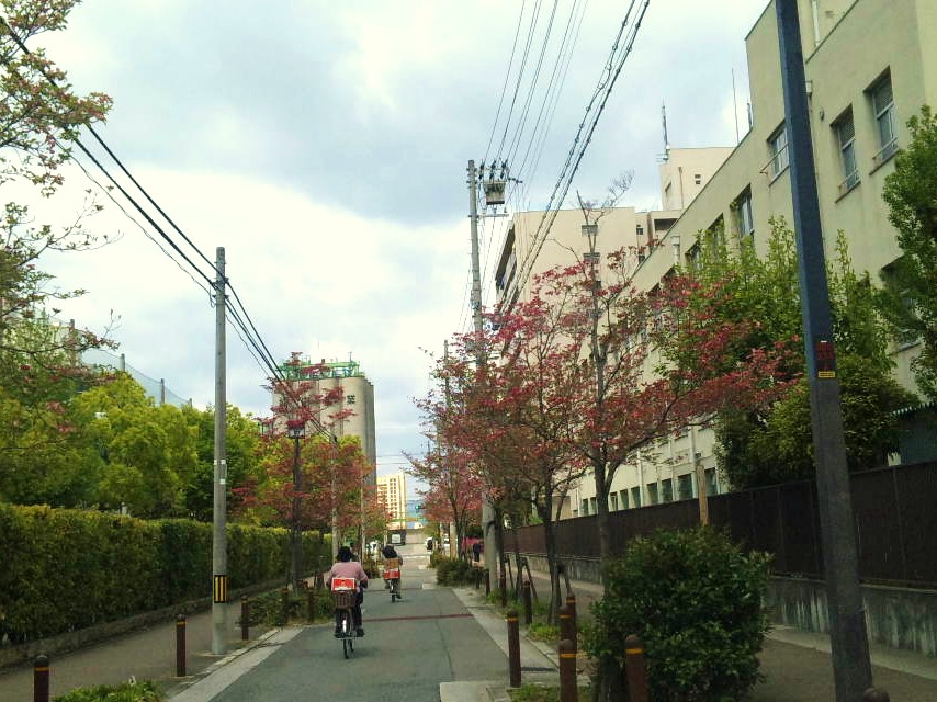 a0098418_13271548.jpg