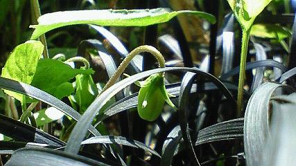 c0097620_226656.jpg