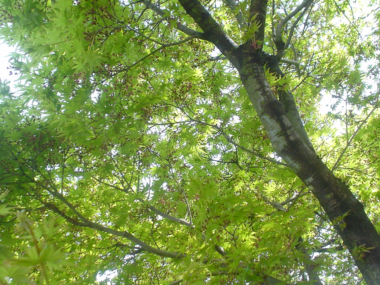c0150520_2225076.jpg