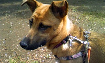 c0150520_2227113.jpg