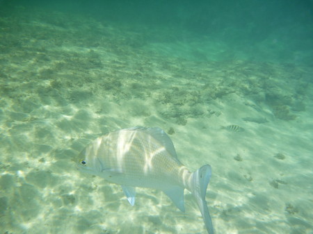 f0097620_2322743.jpg