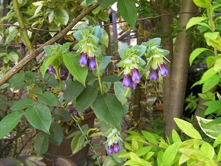 c0204121_18275529.jpg