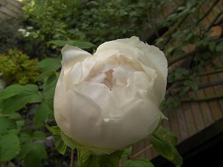 c0204121_1838998.jpg
