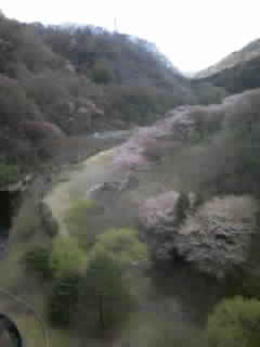 d0009828_1223943.jpg