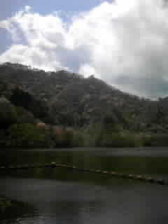 d0009828_1223965.jpg
