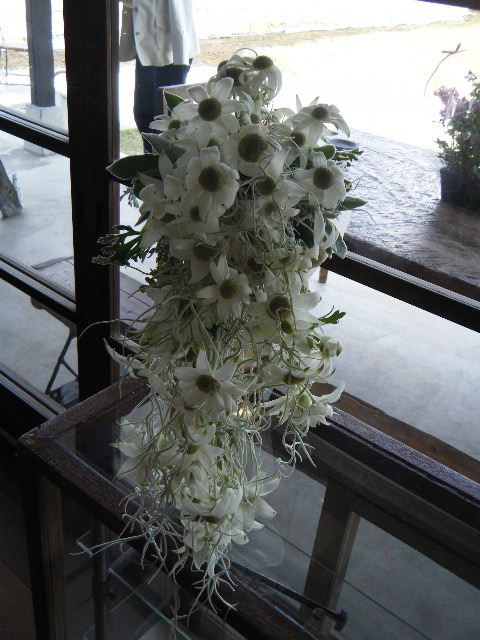 c0110930_23365030.jpg