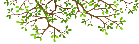 c0123031_1712345.gif