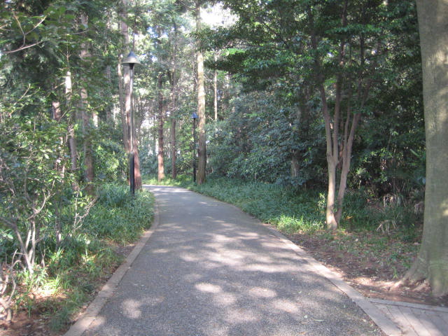 e0166032_20545895.jpg