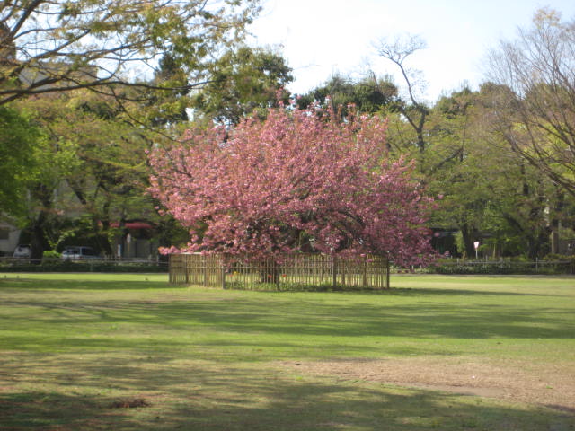 e0166032_20554924.jpg