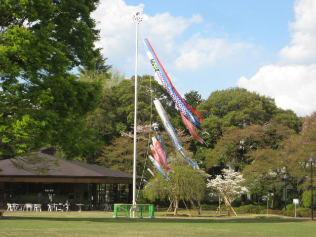 e0166032_20561652.jpg