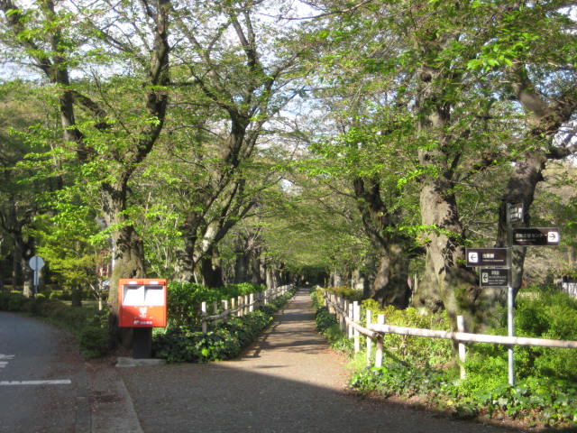 e0166032_21131136.jpg