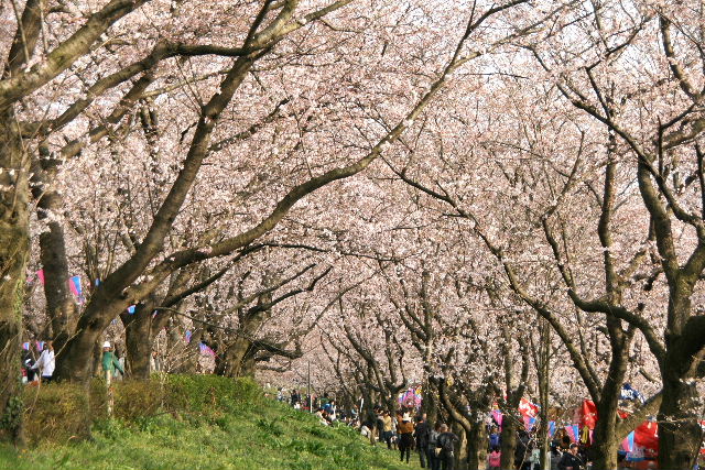 e0064133_223202.jpg