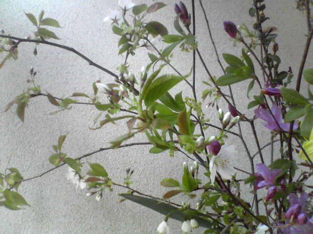 f0237037_20395076.jpg