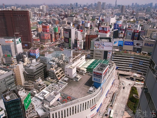 a0009142_22514828.jpg