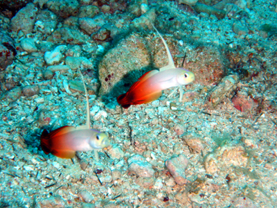 d0065247_1132463.jpg