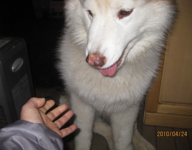 e0121548_1941186.jpg
