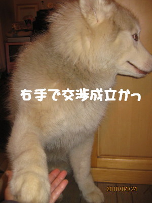 e0121548_19452481.jpg