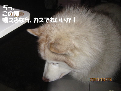 e0121548_19532472.jpg