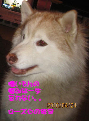 e0121548_19581939.jpg