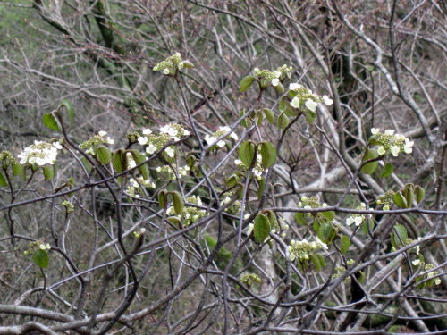 c0179351_19523412.jpg