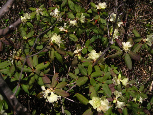 c0179351_21173425.jpg
