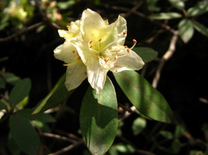c0179351_2130167.jpg