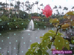 b0133752_22202051.gif