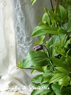 e0118257_18202618.jpg