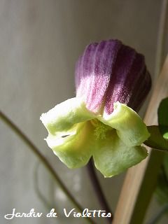 e0118257_18302481.jpg