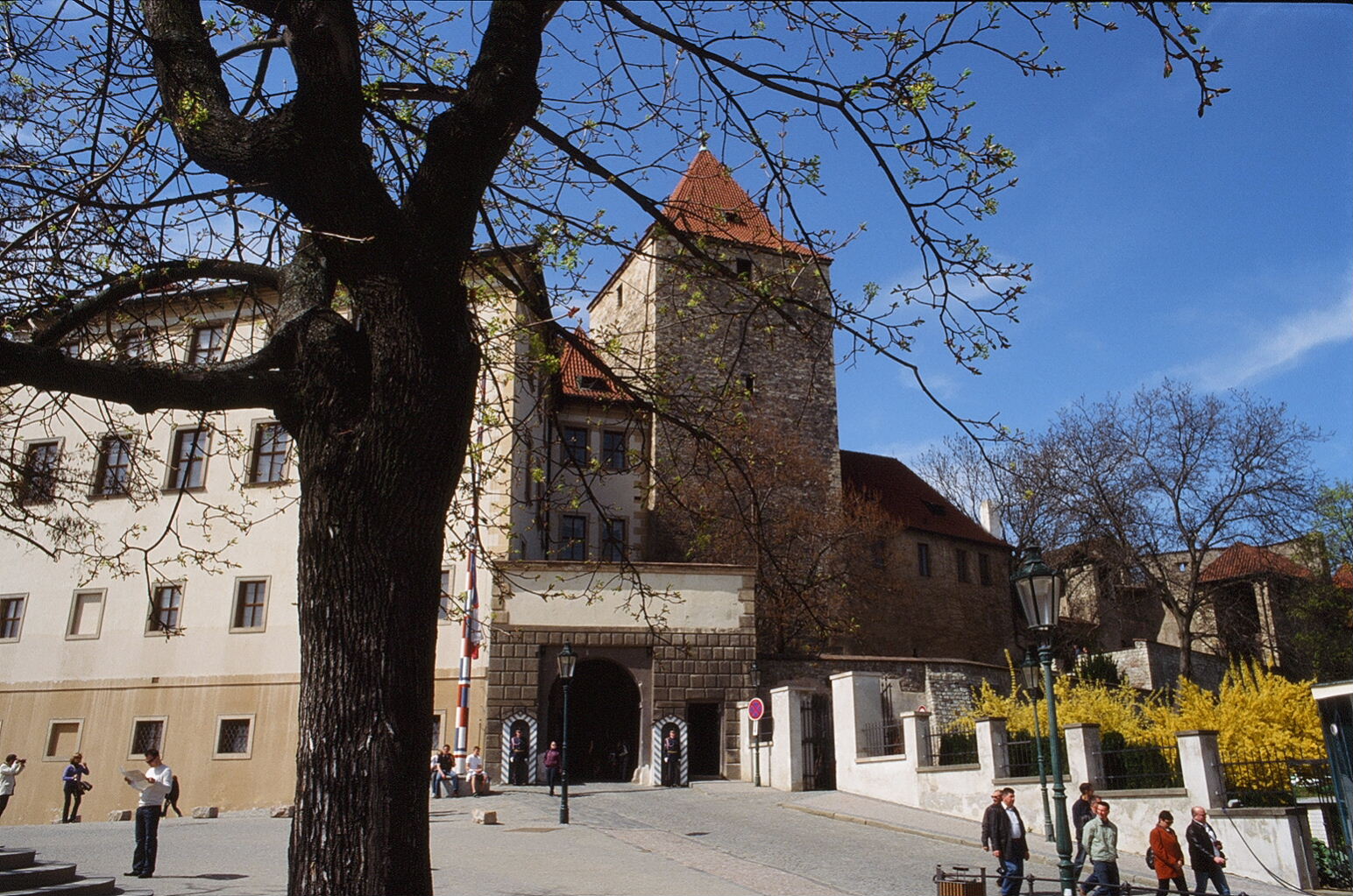 e0134658_5263782.jpg