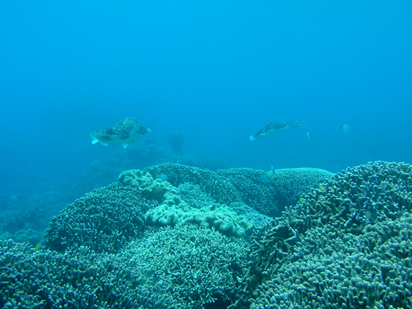 b0062363_1965137.jpg