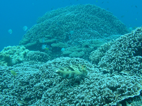 b0062363_198087.jpg