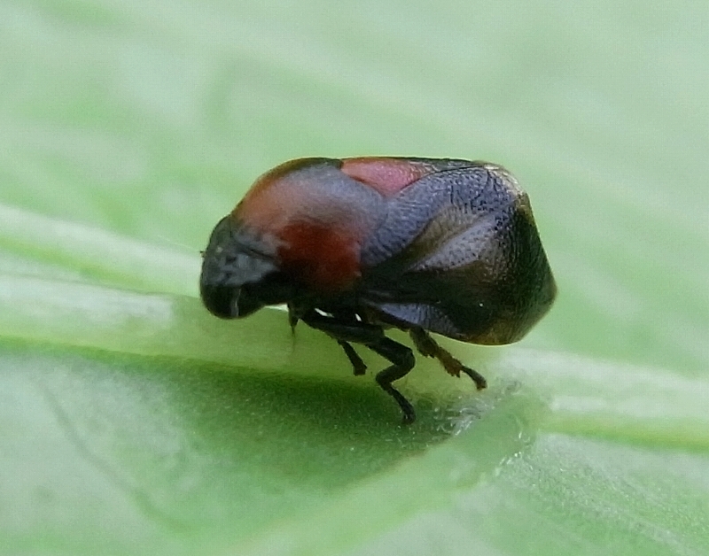 c0142963_23343967.jpg