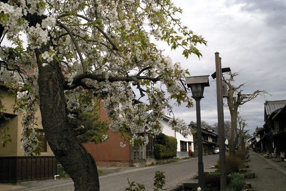 b0075364_7131889.jpg