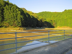 e0002466_203278.jpg