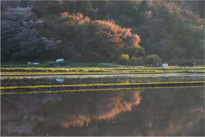 f0182571_2143994.jpg