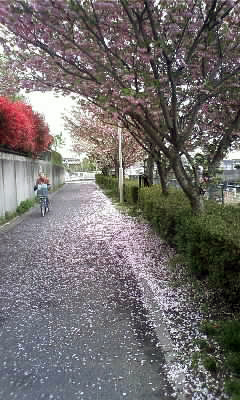 c0196673_8395992.jpg