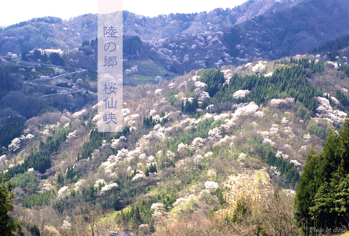 f0227975_17381558.gif