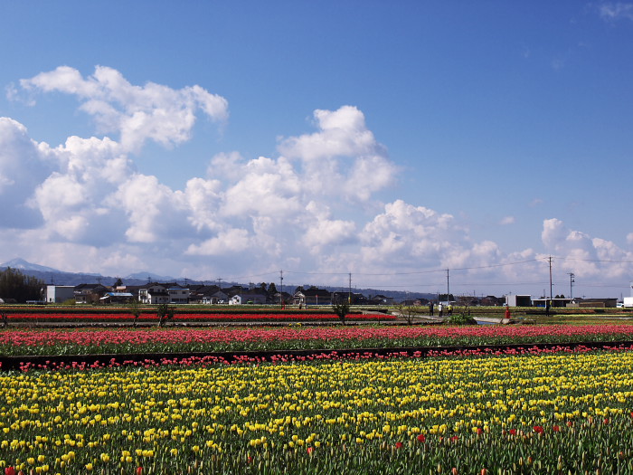 a0096177_175435.jpg