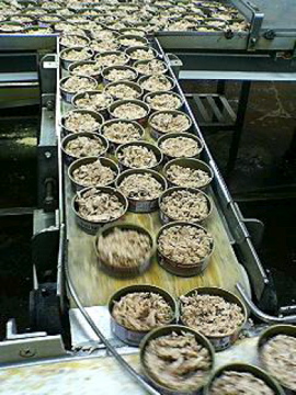 f0054677_9101550.jpg