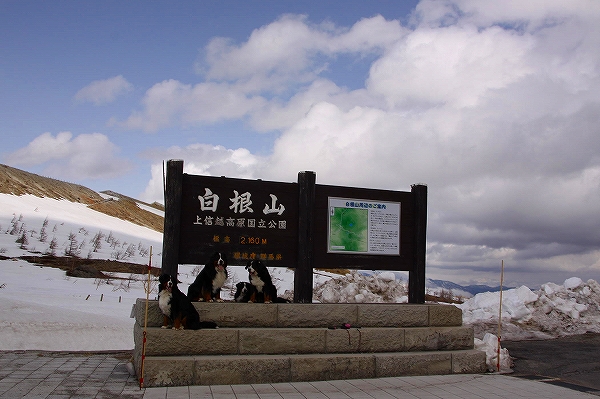 c0149178_056518.jpg