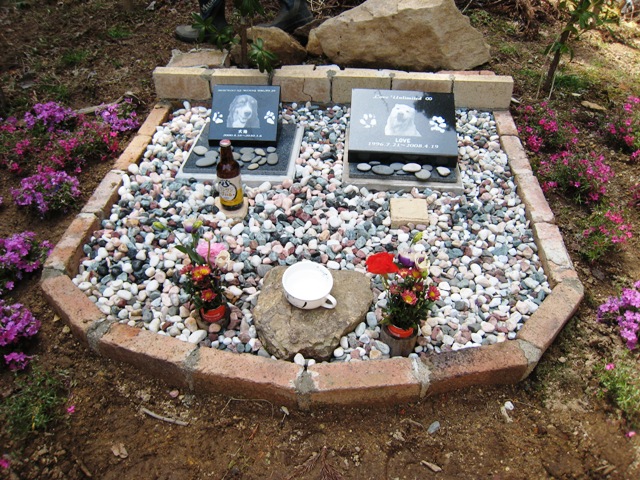 d0065484_04178.jpg