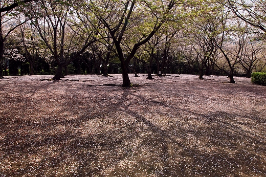 e0190885_17593611.jpg