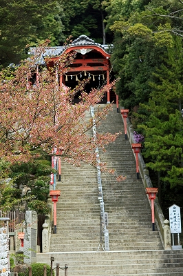 e0190885_18141100.jpg