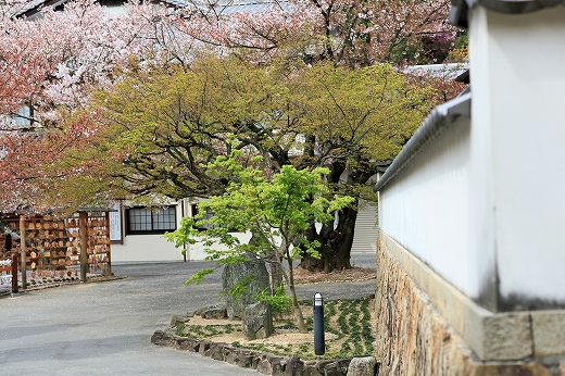 e0190885_182624.jpg
