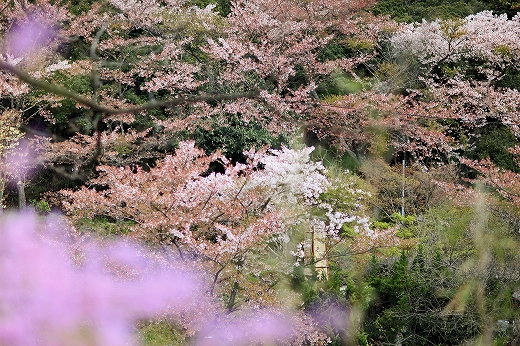 e0190885_1831220.jpg