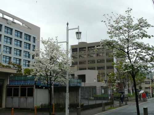 b0118987_60326.jpg