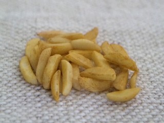 b0185290_14544961.jpg